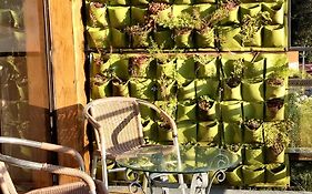 Preciosa Cabana En Fraijanes
